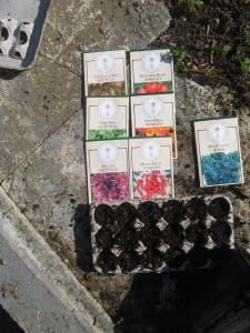Seeds to Plant! 3/27/10